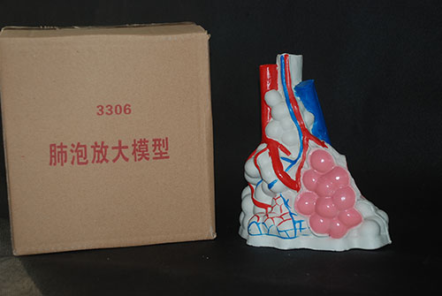 91